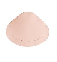 C-Section Insert Basic