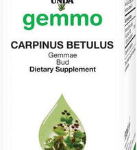 Carpinus Betulus