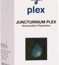 Juncturinum Plex