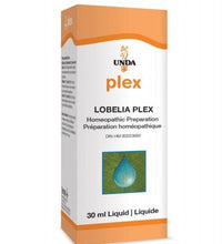 Lobelia Plex