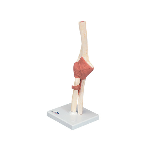Functional elbow joint, deluxe