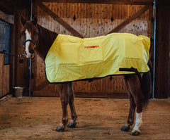 Thermotex Equine Far Infrared Heating 12 Pad Blanket