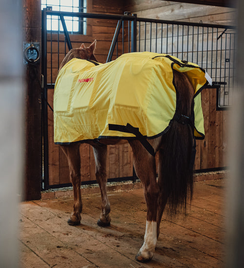 Thermotex Equine Far Infrared Heating 12 Pad Blanket