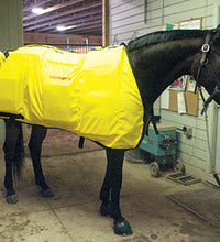 Thermotex Equine Far Infrared Heating 12 Pad Blanket