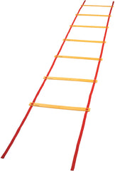 Economy Agility Ladder