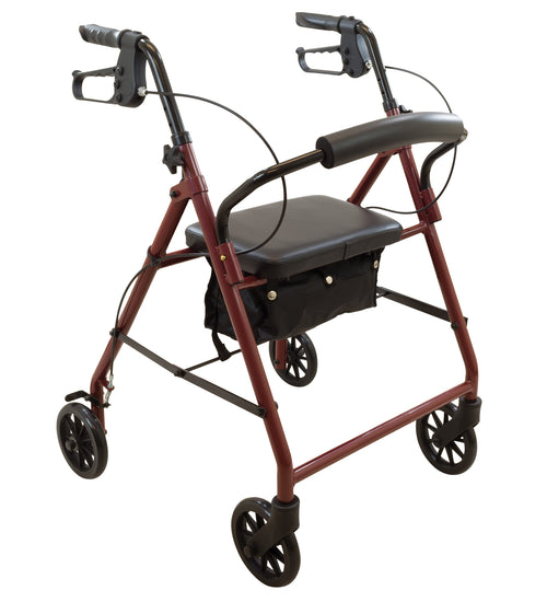ProBasics Steel Rollator, 6" Wheels, 300 lb Weight Capacity