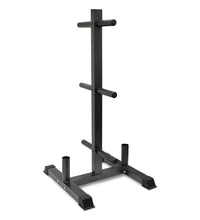 Vertical Olympic Bumper Plate & Bar Rack