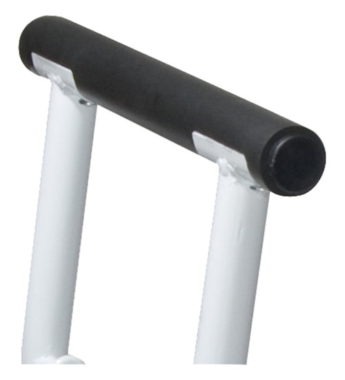 Stand Alone Toilet Safety Rail